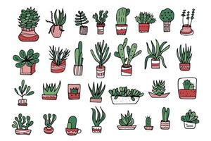 plantes succulentes dans griffonnage style. vecteur illustration.