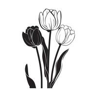 tulipe fleur. vecteur noir et blanc illustration isolé sur blanc Stock vecteur image et art