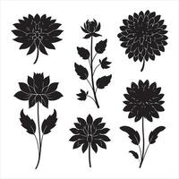 une noir silhouette dahlia fleur ensemble vecteur