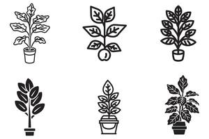 les plantes pot vecteur ensemble vecteur conception sur blanc Contexte illustration