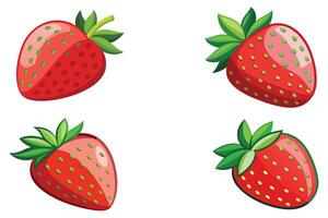 fraise plat vecteur illustration sur blanc Contexte
