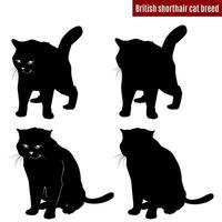 Britanique cheveux courts chat race noir silhouettes vecteur