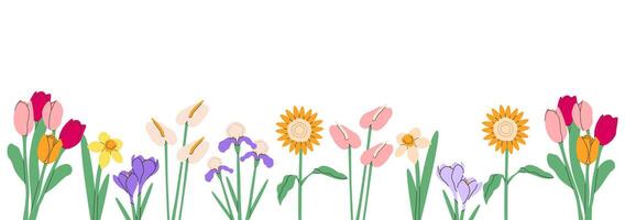 fleur bouquet frontière.printemps et été fleurs, les plantes pour décoration, épanouissement herbes isolé sur transparent background.hand tiré set.vector illustration eps dix. vecteur