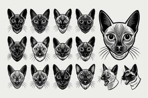 ai généré magnifique tonkinois chat tête illustration conception paquet vecteur