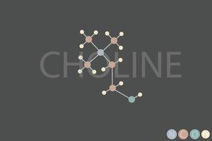 choline moléculaire squelettique chimique formule vecteur