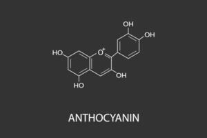 anthocyane moléculaire squelettique chimique formule vecteur