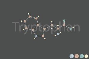 tryptophane moléculaire squelettique chimique formule vecteur