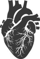 ai généré silhouette pour interne organes de cœur noir Couleur seulement vecteur