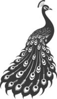 ai généré silhouette paon des oiseaux animal élever plume queue noir Couleur seulement vecteur