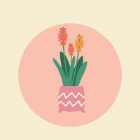 mignonne rose vecteur illustration avec une plante d'appartement dans une vase mis sur une rond Contexte