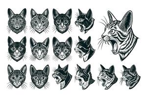 ai généré ensemble de main tiré manx chat tête illustration conception vecteur