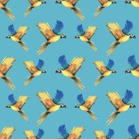 tropical en volant bleu jaune ara perroquet. main tiré aquarelle botanique illustration. sans couture modèle sur une bleu Contexte. vecteur