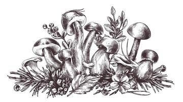 forêt champignons, bolet, chanterelles et myrtilles, airelles, brindilles, cônes, feuilles. graphique botanique illustration main tiré dans marron encrer. isolé composition vecteur