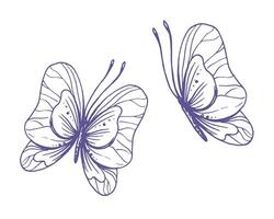 délicat papillons avec motifs sur le ailes, simple, doux, lumière, romantique. illustration graphiquement dessiné à la main dans lilas encre dans ligne style. ensemble de isolé eps vecteur objets