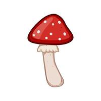 champignon vénéneux mouche agaric dessin animé vecteur illustration