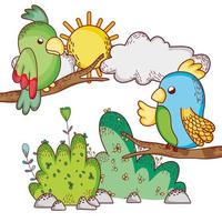 animaux mignons, perroquets dans les branches arbre soleil dessin animé vecteur
