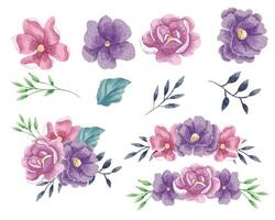 violet et rose Rose aquarelle fleur vecteur