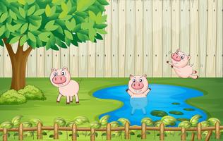Porcs dans la cour vecteur