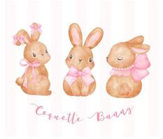 coquette lapin ensemble, deux adorable marron lapins dans cœur Cadre avec rose ruban arc aquarelle esthétique La peinture vecteur