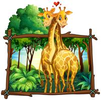 Deux girafes s&#39;embrassant dans la jungle vecteur