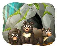 Grizzly vivant dans la grotte vecteur