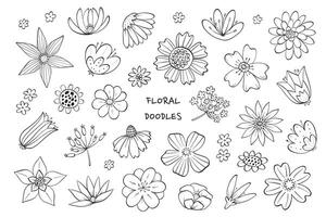 fleurs griffonnages collection, printemps fleurs sauvages clipart, floral dessin animé éléments isolé sur blanc Contexte pour coloration pages, autocollants, cartes, affiches, bannières, etc. eps dix vecteur