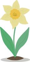 le narcisse fleur est Souligné sur une blanc Contexte. vecteur brillant artistique illustration. Pâques illustration.
