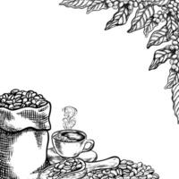 une poignée de café haricots, noir et blanc vecteur illustration. pour emballage, logos et Étiquettes. pour bannières, dépliants, les menus et affiches.