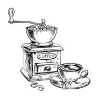 une café broyeur broie café haricots. vecteur noir et blanc illustration illustration sur une blanc isolé Contexte. pour impression, menus, cartes postales et paquets. pour bannières, prospectus et affiches.