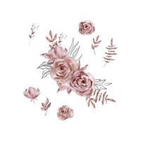 aquarelle ensemble de bouquets foncé des roses vecteur