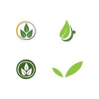 vert feuille logo icône vecteur