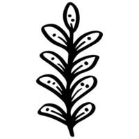 Facile griffonnage blé tige avec longue feuilles, noir et blanc encre stylo dessin vecteur