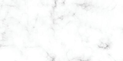 blanc marbre modèle texture pour le Contexte. abstrait noir rayure sur blanc surface. vecteur