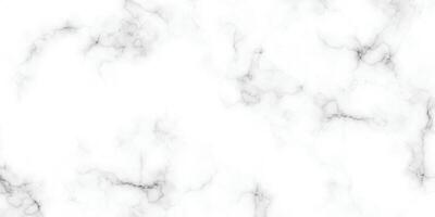 panoramique blanc marbre pierre texture. blanc marbre texture Contexte. haute résolution blanc carrare marbre pierre texture. vecteur