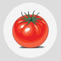 tomate agrafe art vecteur illustration