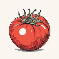 tomate agrafe art vecteur illustration