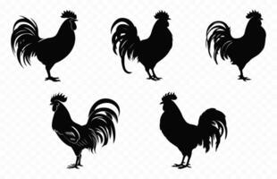 coq silhouette vecteur ensemble coq silhouettes, coq perchoir noir clipart paquet