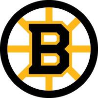 logo de le Boston bruins nationale le hockey ligue équipe vecteur