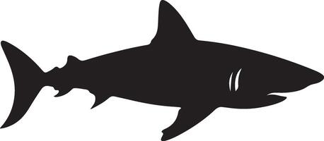 requin silhouette vecteur illustration blanc Contexte