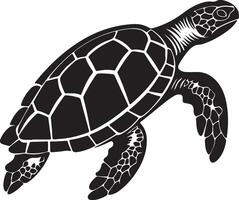 tortue silhouette vecteur illustration blanc Contexte
