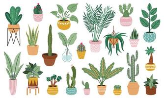 plante dans marmites. Accueil mis en pot végétaux, fleur maison végétaux, ficus, cactus et succulentes, intérieur décoratif les plantes isolé vecteur illustration ensemble