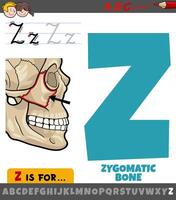 lettre z de alphabet avec illustration de zygomatique OS vecteur