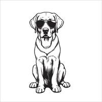 ai généré noir et blanc Labrador retriever chien portant des lunettes de soleil illustration vecteur