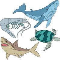 aquatique animaux clipart ensemble. mer tortue, requin, crevette, baleine vecteur