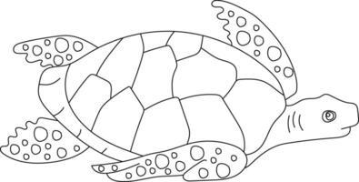 contour mer tortue clipart vecteur