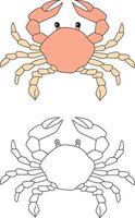 Crabe clipart ensemble. coloré et contour Crabes de le mer la vie vecteur