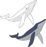 baleine clipart ensemble. coloré et contour baleines clipart vecteur