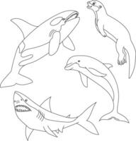 aquatique animaux clipart ensemble. mer animaux de requin, baleine, loutre, dauphin vecteur