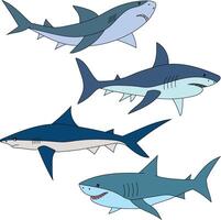 coloré requin clipart ensemble vecteur