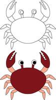 Crabe clipart ensemble. coloré et contour Crabes de le mer la vie vecteur